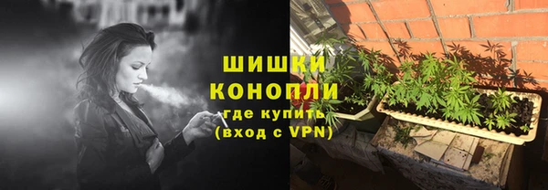 гидра Гусь-Хрустальный